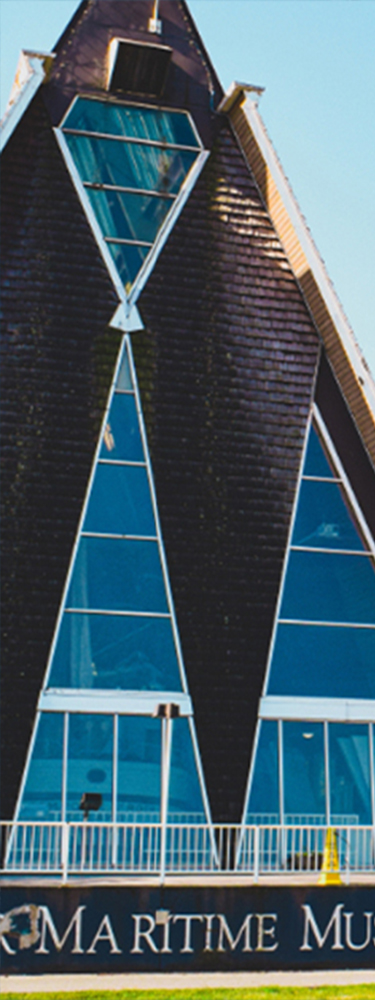 banner image